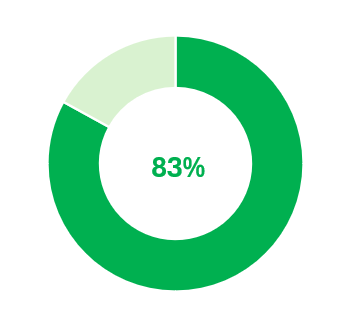 Donut chart in Excel showing the level of progress.